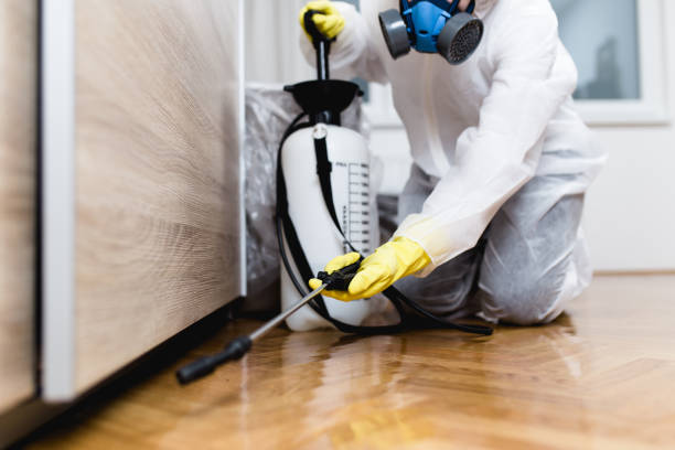 Professional Pest Control in New Athens, IL