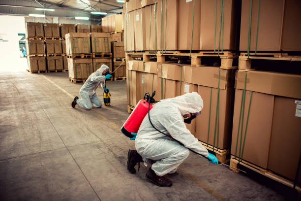 Best Cockroach Control Services  in New Athens, IL