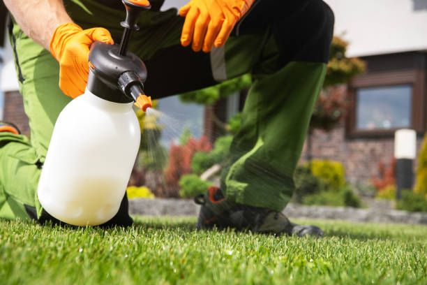 Best Rat Extermination Near Me  in New Athens, IL