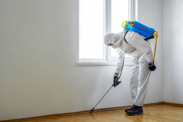 Best Affordable Pest Control Services  in New Athens, IL