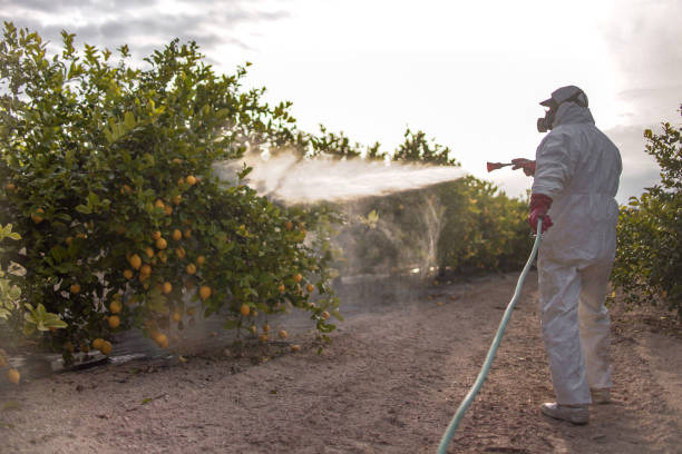 Best Best Pest Control Companies  in New Athens, IL