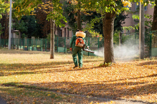 Best Affordable Pest Control Services  in New Athens, IL