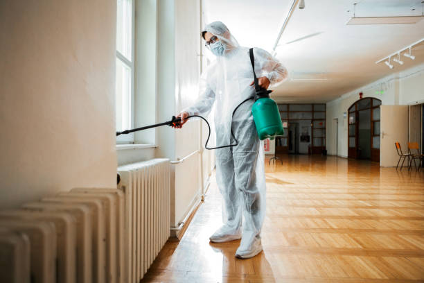 Best Flea Control Services  in New Athens, IL