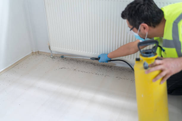 Best Bed Bug Extermination  in New Athens, IL