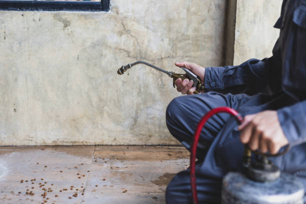 Best Pest Prevention Services  in New Athens, IL